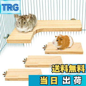 yz3_Zbg ybgpi  L^ ؐR[i[Xe[W nX^[̃Xebv ݑ V}X K `` `rgg P[W  Vя ^sɑΉ 