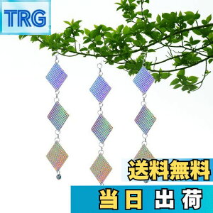 yzEsiFareObY 3_Zbg ݂艺 悯΍ 悯 co悯 JX悯 悯ObY  t ʔ zOe[v bQ΍ tȒP ʎ _앨