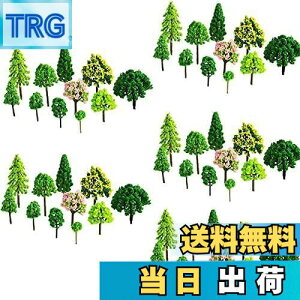 yzLa dream X ͌^p 55{ WI} ͌^  X ޗ Lbg S   3-7cm 9TCY~bNX NQ[W WI} S z ͌^ p (55{ A͌^)