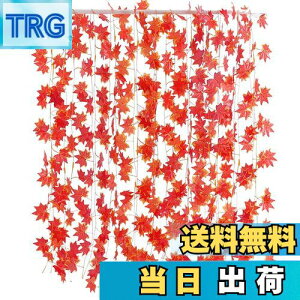 yzTumao lHgt K[h Ӎ nEB N NX}X  K[h gt̑ JGf̗t ݂  p  ݂ G lHt Be  DIY Cx  Ce