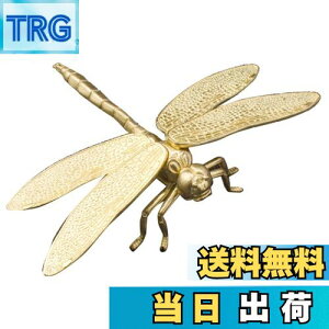 yzmamota  ANZT[ Ƃ x g{ u ^ ^ ^  CeA  I n`悯 J^ ACe ^J v[g (S[h)