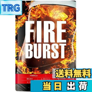 �y���������z�yFIRE BURST�z L-�J���j�`�� BCAA�z�� �T�v�� ���I�f�� 90����