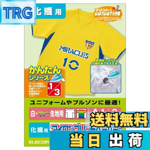 �y���������z�G���R�� �A�C�����v�����g�y�[�p�[ A4�T�C�Y 2������ ��/�Z�����n�p ���@�p �y���{���z ���T��NO:P16 EJP-NP1