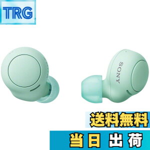 �y���������z�\�j�[(SONY) ���S���C�����X�C���z�� WF-C500 : /�y�ʏ��^5.4g/�����x�ʘb�i��/�ȒP�y�A�����O/IPX4�h�H���\/�A�C�X�O���[�� WF-C500 GZ