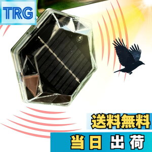�y���������zISOTRONIC �J���X�悯 ���悯 ���悯 �����g���ފ� �����g �t���b�V�����C�g�Ō��� �\�[���[�[�d �݂邹�� �L���͈�150m2 70600