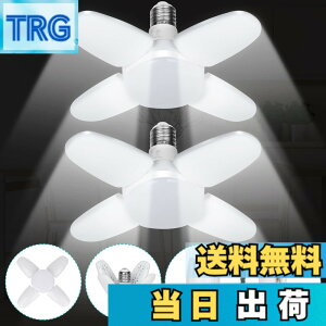 �y���������zJornarshar ���~�j LED���C�g �K���[�W���C�g 45W 2�� ���� ������LED�d�� 6500K �V��Ɩ� ��t�ȒP �H���s�v �p�x���߉\ �J�[�|�[�g �Ԍ� �q�� �[�� ��Ɠ� �����F