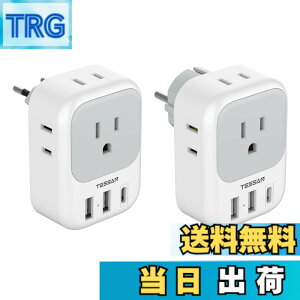 �y���������zTESSAN �ϊ��v���O C�^�C�v SE�^�C�v �C�O���s�p 4��AC������ 3USB�|�[�g�t�� �؍�/�C�^���A/�X�y�C��/�h�C�c ���[���b�p�Ȃǂ̍��ɑΉ�