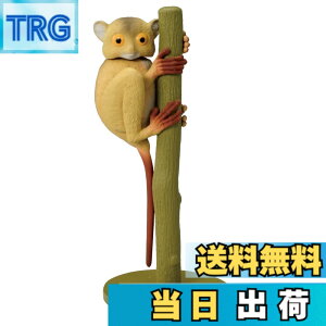 ���i�摜