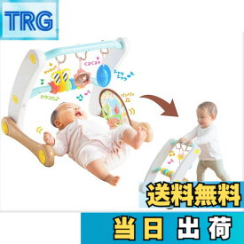 【送料無料】うちの赤ちゃん世界一 (R) スマート知育ジム&ウォーカー 色：混合カラー、サイズ：ワンサイズ