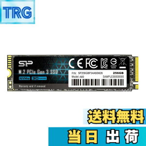 �y���������z�V���R���p���[ SSD NVMe �F�F�u���b�N�A�T�C�Y�F256GB
