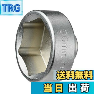 �y���������z(STRAIGHT/�X�g���[�g) �h�������I�C���t�B���^�[�J�b�v�����`36mm 12-6003 �F�F�V���o�[