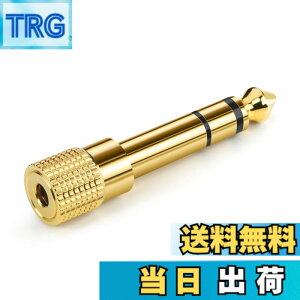 �y���������zAncable �C���z���W���b�N �ϊ� �v���O �X�e���I�~�j�v���O 6.35mm 3.5mm �ϊ� �A�_�v�^ ���X�I�X �w�b�h�z�� �A���v �d�q�s�A�m �C���z���ȂǗp �T�C�Y�F1-Pack