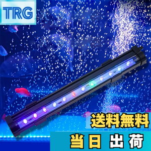 �y���������z���� ���C�g ���^ LED �C�A���C�g �A�N�A���E�����C�g �~�j �������C�g �M�ы����C�g ������ RGB �����ِ����p�Ɩ� ���� �_�f�⋋ �Ϗ܋� �M�ы����� �����琬 IP68�h�� ���P�x ��