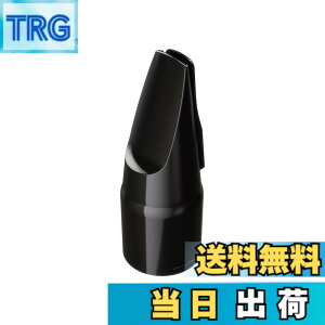 �y���������zRoland ���[�����h Aerophone��p�}�E�X�s�[�X �G�A���t�H�� OP-AE05MPH
