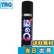【9月1日ー9月15日まで200円オフ】【送料無料】染めQ エアゾール 264ml 色：ホワイト、サイズ：264mL