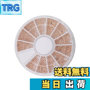 �y���������z1�{�b�N�X12�O���b�h�X���[���X�`�[���r�[�Y�l�C�����^���p�b�` - DIY�l�C���W���G���[�A�N�Z�T���[�ޗ��̃l�C���X�e�b�J�[�{�b�N�X �F�F���F�A�T�C�Y�F�X�^�C�� B#