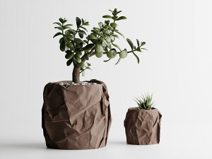 ᰎ S16F 3 4 Aؔ Ɣ v^[ ^   _   ItBX CeA y ϗtA A 򍪐A T{e 鐫 V_ lHϗtA k V