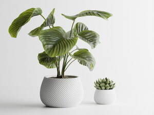  S16F 2 3 4 Aؔ Ɣ v^[ ^   _   ItBX CeA y ϗtA A 򍪐A T{e 鐫 V_ lHϗtA k