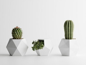 Oi S16F 2 3 4 Aؔ Ɣ v^[ ^   _   ItBX CeA y ϗtA A 򍪐A T{e 鐫 V_ lHϗtA k