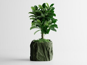 ᰎ S16F 2 3 4 Aؔ Ɣ v^[ ^   _   ItBX CeA y ϗtA A 򍪐A T{e 鐫 V_ lHϗtA k 