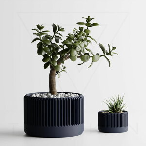 i S16F 2 3 4 Aؔ Ɣ v^[ ^   _   ItBX CeA y ϗtA A 򍪐A T{e 鐫 V_ lHϗtA k