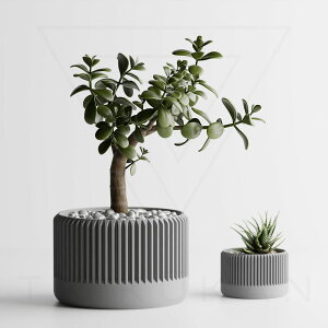 i S16F 2 3 4 Aؔ Ɣ v^[ ^   _   ItBX CeA y ϗtA A 򍪐A T{e 鐫 V_ lHϗtA k