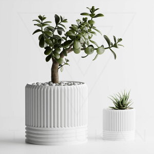 �c�� �S16�F 2�� 3�� 4�� �A�ؔ� ��Ɣ� �v�����^�[ ���^ ������� �� �����_�� �� ������ �I�t�B�X �C���e���A �y�� �ϗt�A�� �����A�� �򍪐A�� �T�{�e�� �鐫 �V�_ �l�H�ϗt�A�� �k��