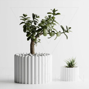  S16F 2 3 4 Aؔ Ɣ v^[ ^   _   ItBX CeA y ϗtA A 򍪐A T{e 鐫 V_ lHϗtA k