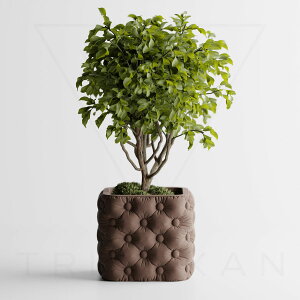 zؔ S16F 2 3 4 Aؔ Ɣ v^[ ^   _   ItBX CeA y ϗtA A 򍪐A T{e 鐫 V_ lHϗtA k