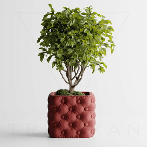 zؔ S16F 2 3 4 Aؔ Ɣ v^[ ^   _   ItBX CeA y ϗtA A 򍪐A T{e 鐫 V_ lHϗtA k