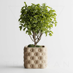 zؔ S16F 2 3 4 Aؔ Ɣ v^[ ^   _   ItBX CeA y ϗtA A 򍪐A T{e 鐫 V_ lHϗtA k