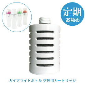 《ガイアの水135 ガイアライトボトル 交換用カートリッジ》 浄水器 活性炭 高性能 専用 ボトル カートリッジ ガイアの水 ボトルカートリッジ 水筒 ボトル型浄水器 専用カートリッジ 携帯浄水器 交換カートリッジ リフィル 浄水カートリッジ 楽天 浄水器カートリッジ