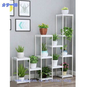 �t�����[�X�^���h ���w�N���G�C�e�B�u�R���r�l�[�V�����v���X�`�b�N�t�����[�V�F���t �z���C�g ���O�g�p �v���X�`�b�N���b�N �X���� �h�K �h�T�r �v�����^�[���b�N �A�E�g�h�A ���| �K�[