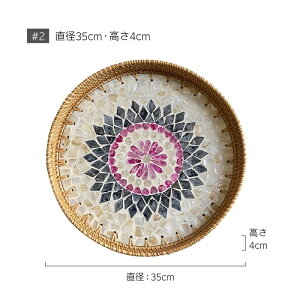 ^҂ 12  VFNtg VF Lk gC g[ ~ ڂ ی^ ANZT[   CX^f IV  킢 AWAG H| AWA Ce