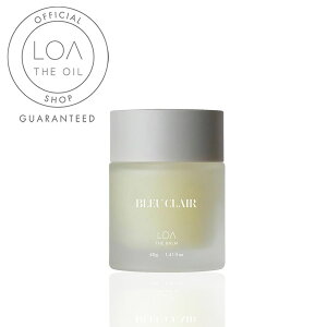 yK̔XzLOA THE BALM u[N[ 40g Ao[ BLEU CLAIR }`o[ wAo[ 荁 X^CO tOX AUo[ AIC AUIC e Tiy