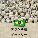 コーヒー豆 ブラジル産 サントス ピーベリー 未焙煎 生豆 100g 907g 4536g 10kg 014151.com