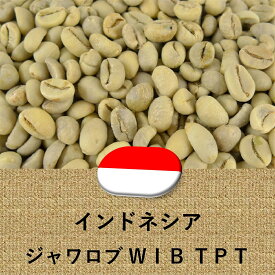 コーヒー豆 インドネシア産 ロブスタ種 WIB 未焙煎 生豆 100g〜 プレゼント ギフト 014151.com