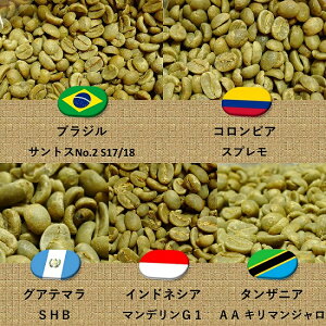 コーヒー豆 生豆 500g お試しセット 100g x 5種 サントス スプレモ グアテマラ マンデリン キリマンジャロ 未焙煎 Qグレード 含む 生豆 プレゼント ギフト 014151.com