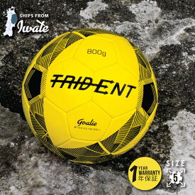Trident (トライデント) サッカーボール 5ウェイトゴールキーパートレーニングボール800g