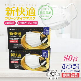 40枚x2箱 80枚 不織布 マスク ふつう 個別包装 3層構造 高密度フィルター カケンテスト認証 全国マスク工業会 三国堂 OHTE 新快適 プリーツマスク 普通 使い捨て マスク ふつう レギュラーサイズ 男女兼用 大人 BFE VFE PFE 99%カット 175mmx95mm 花粉症対策