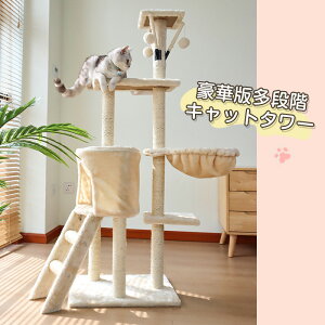 Lbg^[ ˂ObY L^[ 5i 138cm nbNt ybgi L̉ @\ ^s u Lp lRnEX ^L lR^[ ˂NC~Ot[ L ܂Ƃ