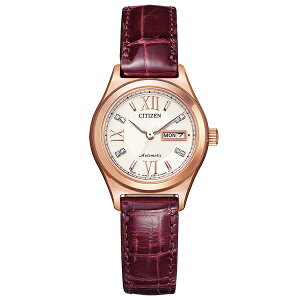 CITIZEN �V�`�Y�� PD7162-04A