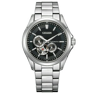 CITIZEN V`Y NP1010-78E