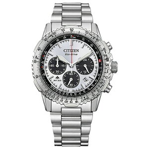 CITIZEN V`Y PROMASTER v}X^[ CA4660-61A