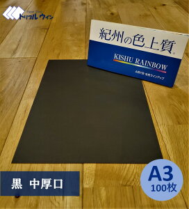 SiP10{IB̐F㎿@yzA3@@100@GRzI͎Ԏwsł