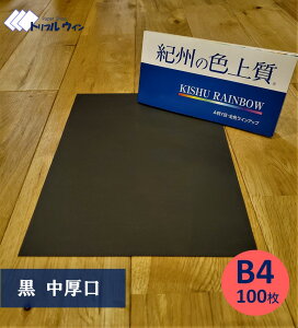 SiP10{IB̐F㎿@yzB4@@100@GRzI͎Ԏwsł