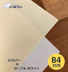 SiP10{STJo[ or T[uzCg B4 25 ͗l͎ʐ^łmFBǂRs[p肵݂܂BSTJo[T[uzCgǂ炩I