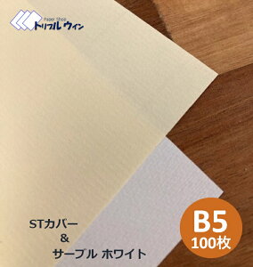 SiP10{STJo[ or T[uzCg B5 100 ͗l͎ʐ^łmFBǂRs[p肵݂܂BSTJo[T[uzCgǂ炩I