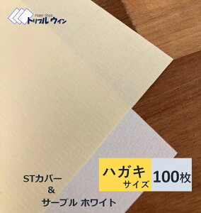 SiP10{STJo[ or T[uzCg 100 nKLTCYi100mm×148mmj͗l͎ʐ^łmFBǂRs[p肵݂܂BSTJo[T[uz
