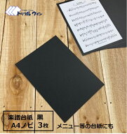オリジナル 楽譜 台紙 3枚 A4ノビ 230mm×317mm（A4よりひとまわり大きいサイズ）無地 1面 パスコF 344kg…